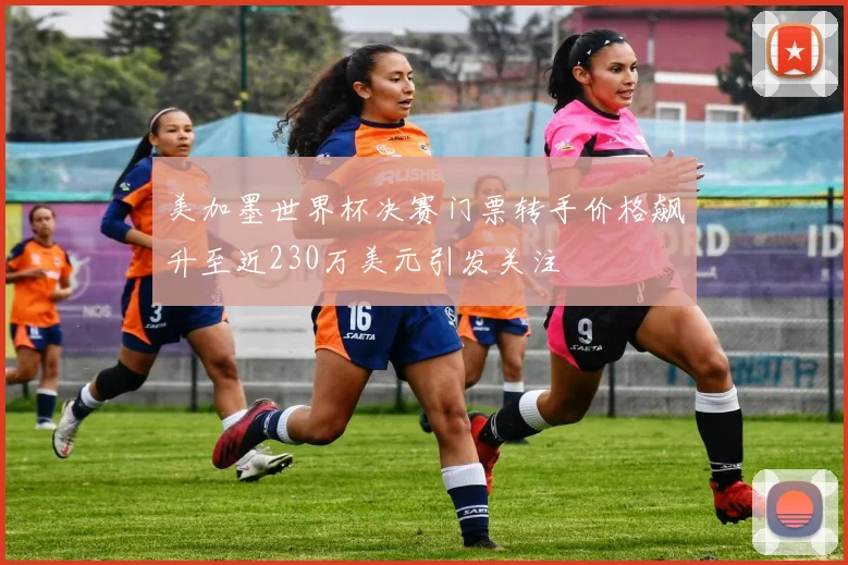 美加墨世界杯决赛门票转手价格飙升至近230万美元引发关注