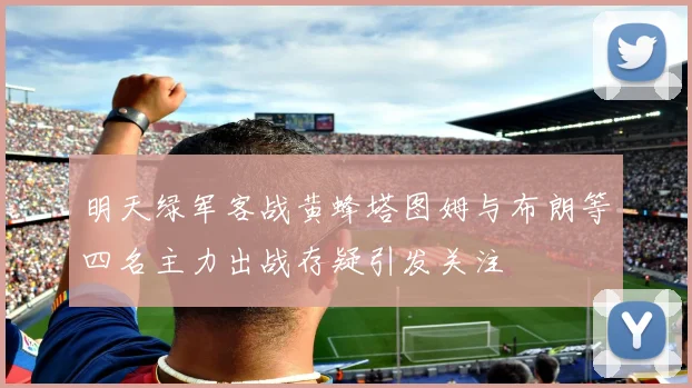 明天绿军客战黄蜂塔图姆与布朗等四名主力出战存疑引发关注