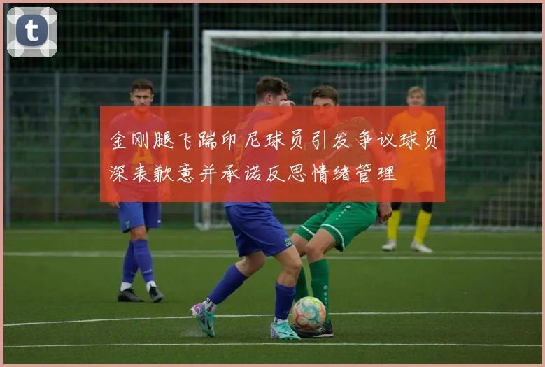 金刚腿飞踹印尼球员引发争议球员深表歉意并承诺反思情绪管理
