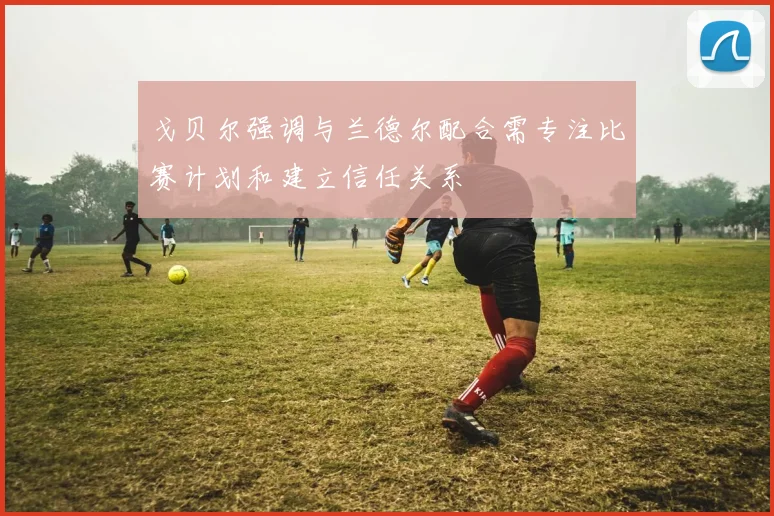 戈贝尔强调与兰德尔配合需专注比赛计划和建立信任关系